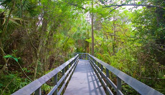 Plumbing Services - Coconut Creek, FL